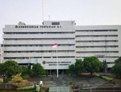 Kementan Blokir Ratusan Importir Bawang Putih Yang Tidak Laksanakan Wajib Tanam