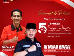 Kepiawaian Berpolitik Ketua Dpc Pdip Kab Bekasi Tuai Beragam Pujian