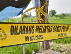 Pemuda Tewas di Tengah Sawah Didiga Tersengat Listrik Pengusir Tikus