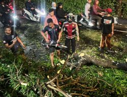 Personil Den Perintis Bantu Gatur Lalin Bersihkan Pohon Tumbang Dijalan