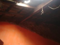 Nenek Miskin di Kota Metrodollar: Potret Buram Ketimpangan Sosial di Jantung Industri Kabupaten Bekasi