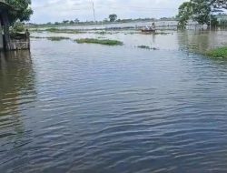Warga Kampung Utan Gedong Mengeluh, Banjir Hampir Sebulan Lumpuhkan Aktivitas