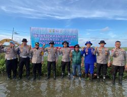 Kapolda dan Wakapolda Metro Jaya Tinjau Tambak Muara Gembong sebagai Ekosistem Rantai Pasokan Bahan Baku SPPG Polda Metro Jaya