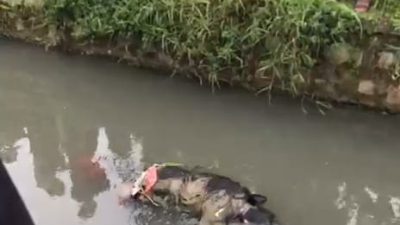 Mayat Tanpa Identitas Ditemukan di Kali Irigasi Tambun Utara